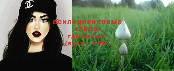прущие грибы Алексеевка