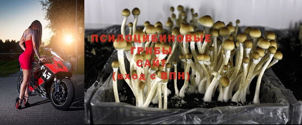гашишное масло Алексин
