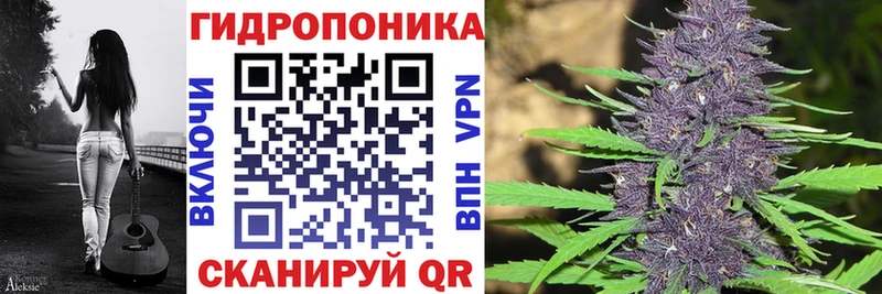 наркотики Бежецк Каннабис конопля